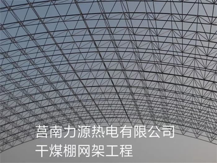 乐清力源热电有限公司干煤棚网架工程